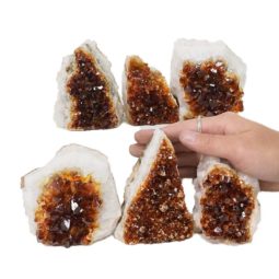 1.90kg Citrine Mini Cluster Specimen Set 6 Pieces N635 5 Citrine Mini Cluster Specimen Set N635 | Himalayan Salt Factory