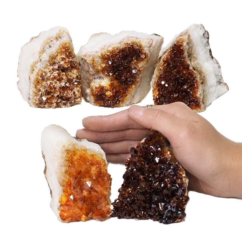1.81kg Citrine Mini Cluster Specimen Set 5 Pieces N636 4 Citrine Mini Cluster Specimen Set N636 | Himalayan Salt Factory