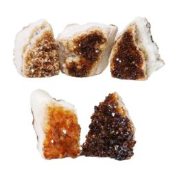 Citrine Mini Cluster Specimen Set N636 | Himalayan Salt Factory