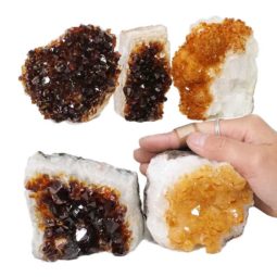 1.75kg Citrine Mini Cluster Specimen Set 5 Pieces N638 5 Citrine Mini Cluster Specimen Set N638 | Himalayan Salt Factory