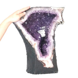 Amethyst Cathedral Geode - A Grade DS1065 | Himalayan Salt Factory