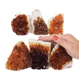 1.84kg Citrine Mini Cluster Specimen Set 6 Pieces N671 5 Citrine Mini Cluster Specimen Set N671 | Himalayan Salt Factory