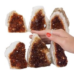 1.91kg Citrine Mini Cluster Specimen Set 6 Pieces N674 5 Citrine Mini Cluster Specimen Set N674 | Himalayan Salt Factory