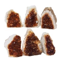 Citrine Mini Cluster Specimen Set N674 | Himalayan Salt Factory