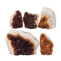 Citrine Mini Cluster Specimen Set N683 | Himalayan Salt Factory