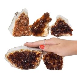 1.97kg Citrine Mini Cluster Specimen Set 5 Pieces N685 5 Citrine Mini Cluster Specimen Set N685 | Himalayan Salt Factory