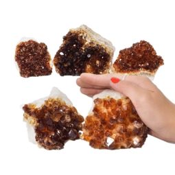 Citrine Mini Cluster Specimen Set N688 | Himalayan Salt Factory