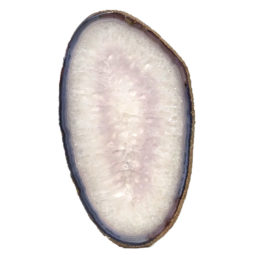Natural Agate Polished Slab Plate DN504 | Himalayan Salt Factory