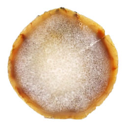 Natural Agate Polished Slab Plate DN517 | Himalayan Salt Factory