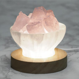Jan Deal 14 Jan Deal | Himalayan Salt Factory