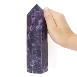 0.68kg Lepidolite Terminated Point DS1290 | Himalayan Salt Factory