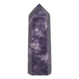 0.52kg Lepidolite Terminated Point DS1292 | Himalayan Salt Factory