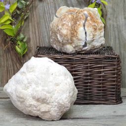 Natural Calcite Geode Pair – 2 Small Geodes Set N1093 | Himalayan Salt Factory
