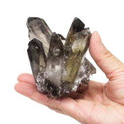 Smoky Quartz Crystal Cluster DS1385 | Himalayan Salt Factory