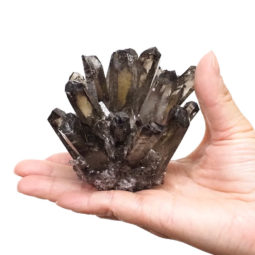 Smoky Quartz Crystal Cluster DS1386 | Himalayan Salt Factory