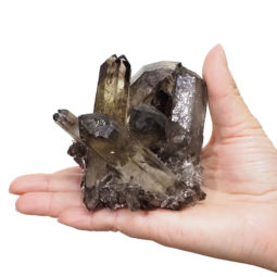 Smoky Quartz Crystal Cluster DS1387 | Himalayan Salt Factory