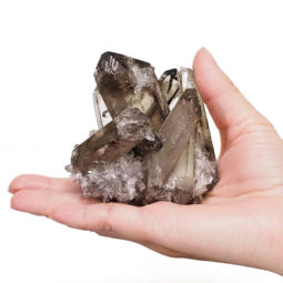Smoky Quartz Crystal Cluster DS1388 | Himalayan Salt Factory