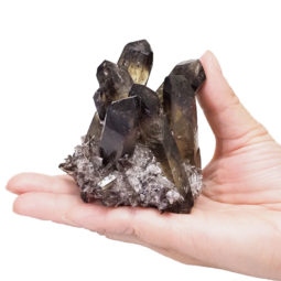 Smoky Quartz Crystal Cluster DS1389 | Himalayan Salt Factory
