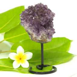 Amethyst Druze Specimen DCF268 | Himalayan Salt Factory
