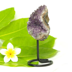Amethyst Druze Specimen DCF268 | Himalayan Salt Factory