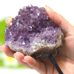 Amethyst Druze Specimen DCF268 | Himalayan Salt Factory