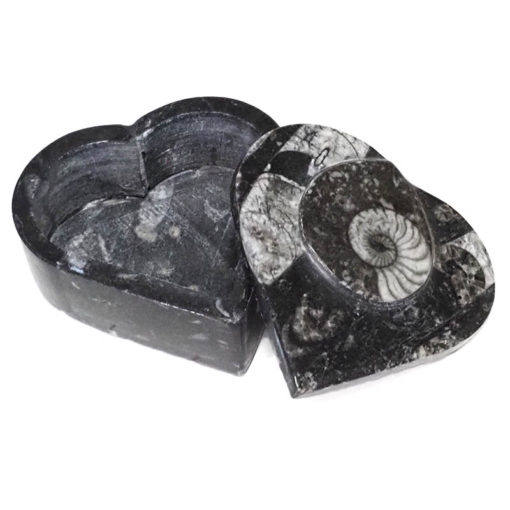 Ancient Fossil Orthoceras Heart Shaped Ammonite Jewellery Box - Black | Himalayan Salt Factory