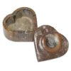 Ancient Fossil Orthoceras Heart Shaped Ammonite Jewellery Box - Brown | Himalayan Salt Factory