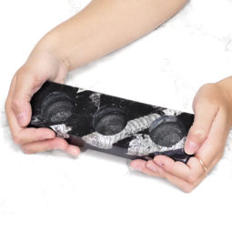 Ancient Fossil Orthoceras Triple Tealight Holder | Himalayan Salt Factory