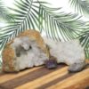 11.20kg Calcite Geode Set with Amethyst DJ444 1 Calcite Geode Set with Amethyst DJ444