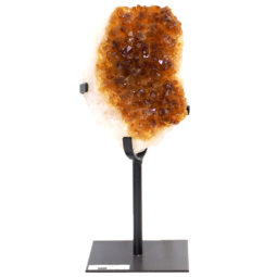 1.56kg Citrine Cluster With Custom Metal Stand DS262 6 Citrine Cluster With Custom Metal Stand DS262