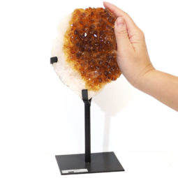 1.56kg Citrine Cluster With Custom Metal Stand DS262 7 Citrine Cluster With Custom Metal Stand DS262