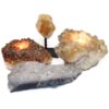 Citrine Crystal Set 4 Pieces S332 1 Citrine Crystal Set 4 Pieces S332-2