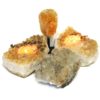 Citrine Crystal Set 4 Pieces S334 1 Citrine Crystal Set 4 Pieces S334