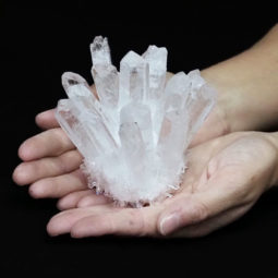 Clear Quartz Crystal Cluster DS1446 | Himalayan Salt Factory