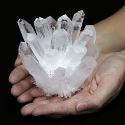 Clear Quartz Crystal Cluster DS1449 | Himalayan Salt Factory