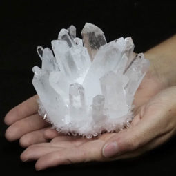 Clear Quartz Crystal Cluster DS1463 | Himalayan Salt Factory