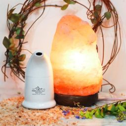 Feb Deal | Himalayan Salt Factory