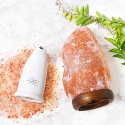 Feb Deal 8 Feb Deal | Himalayan Salt Factory