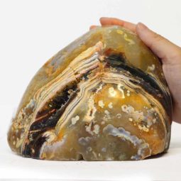 3.30kg Fire Agate Lamp S169 7 Fire Agate Lamp S169
