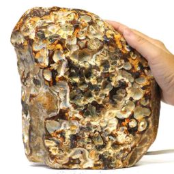 5.25kg Fire Agate Lamp S175 7 Fire Agate Lamp S175