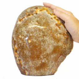 4.05kg Fire Agate Lamp S181 7 Fire Agate Lamp S181