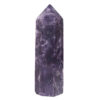 Lepidolite Terminated Point DS1418 | Himalayan Salt Factory