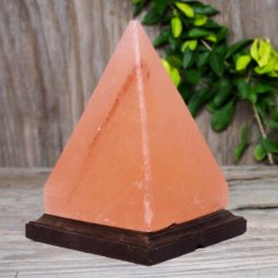 March Deal 8 March Deal | Himalayan Salt Factory