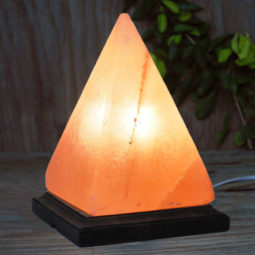 March Deal | Himalayan Salt Factory