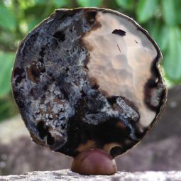 0.37Kg Natural Agate Plate J758 5 Natural Agate Plate J758