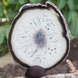 Natural Agate Plate J760