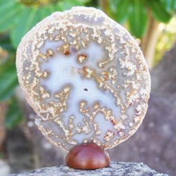 0.28Kg Natural Agate Plate J769 5 Natural Agate Plate J769