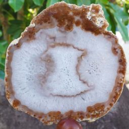 0.86Kg Natural Agate Plate J774 5 Natural Agate Plate J774