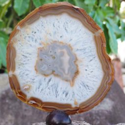 Natural Agate Plate J779