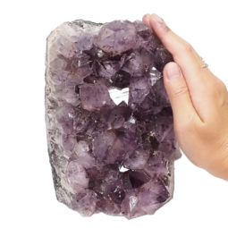 Natural Amethyst Crystal Lamp DN692 | Himalayan Salt Factory